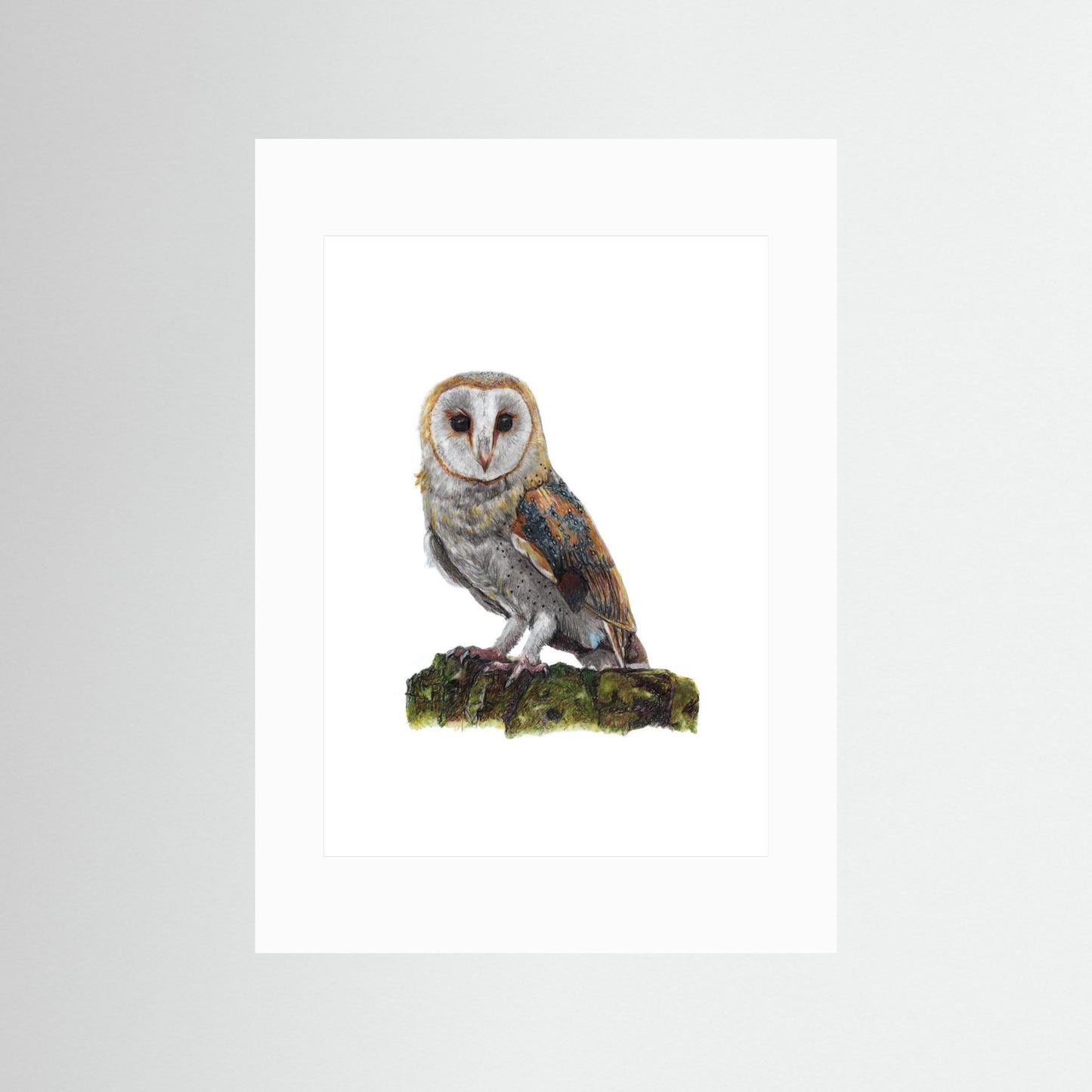 Barn Owl Wildlife Framed Art Print | British Bird Wall Art
