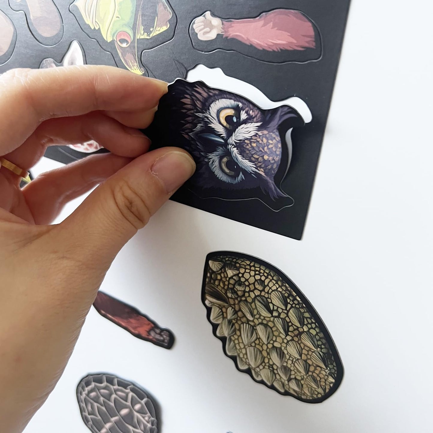 VMNlooking Cryptid Construction Kit – Magnetic Fridge Monster Creatures