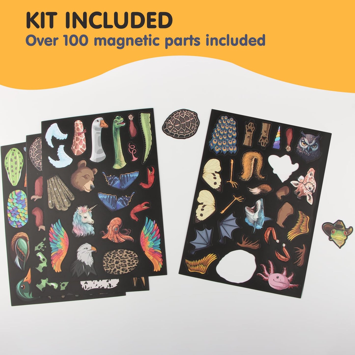 VMNlooking Cryptid Construction Kit – Magnetic Fridge Monster Creatures