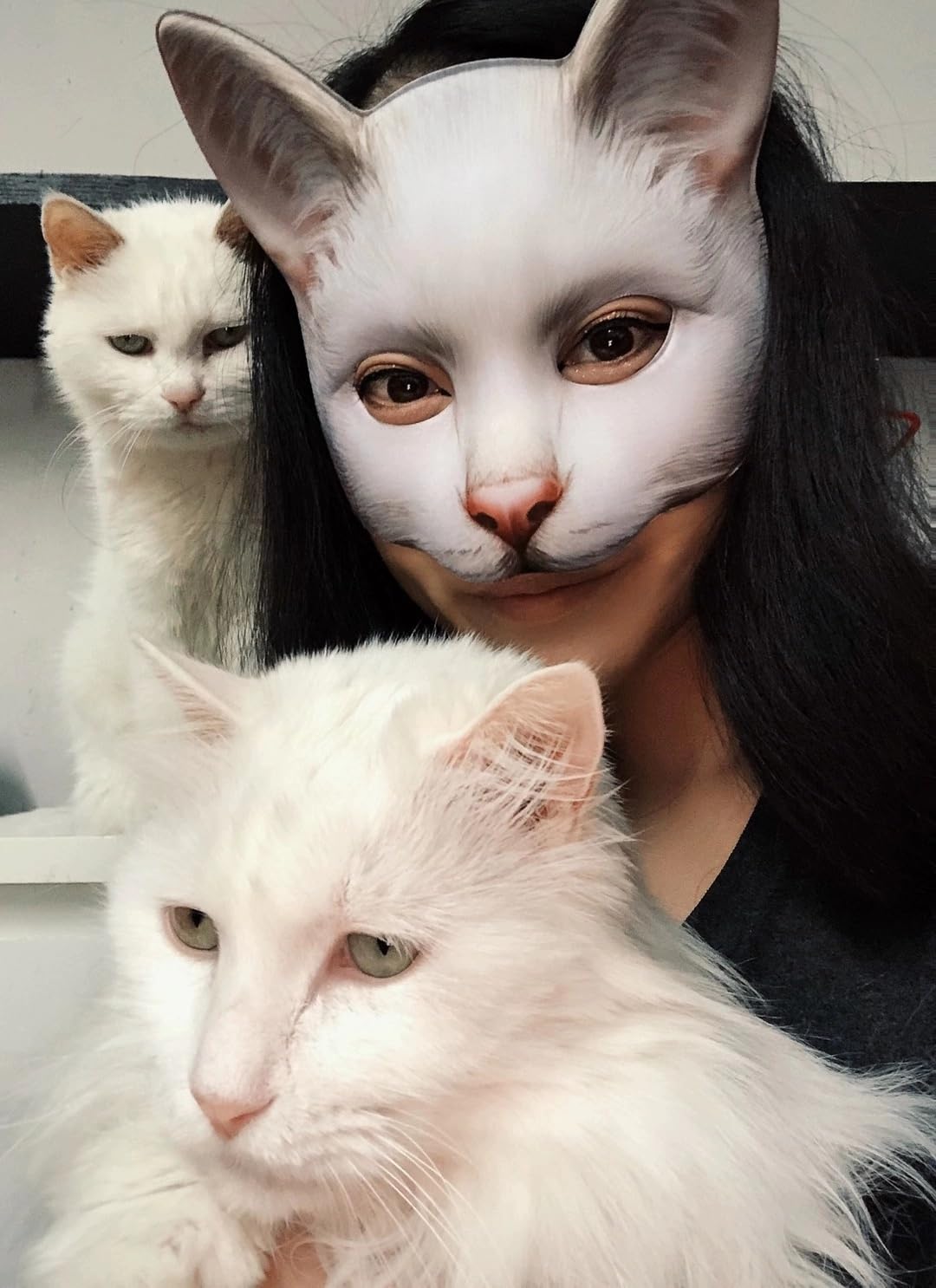Vocoliday Half Face Cat Mask - Halloween Masquerade Cosplay Accessory (Style H)