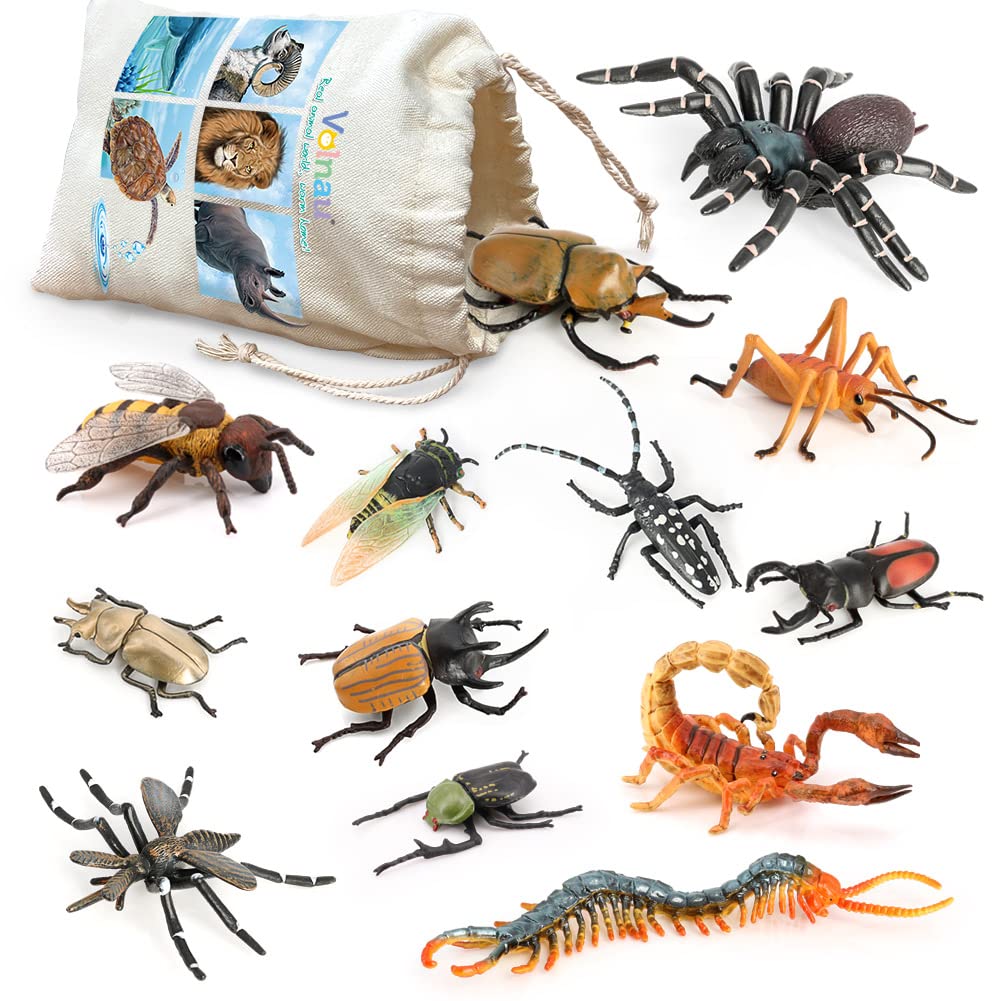 Volnau 13-Piece Insect Figurine Set for Kids – Safe, Realistic Bug Toys
