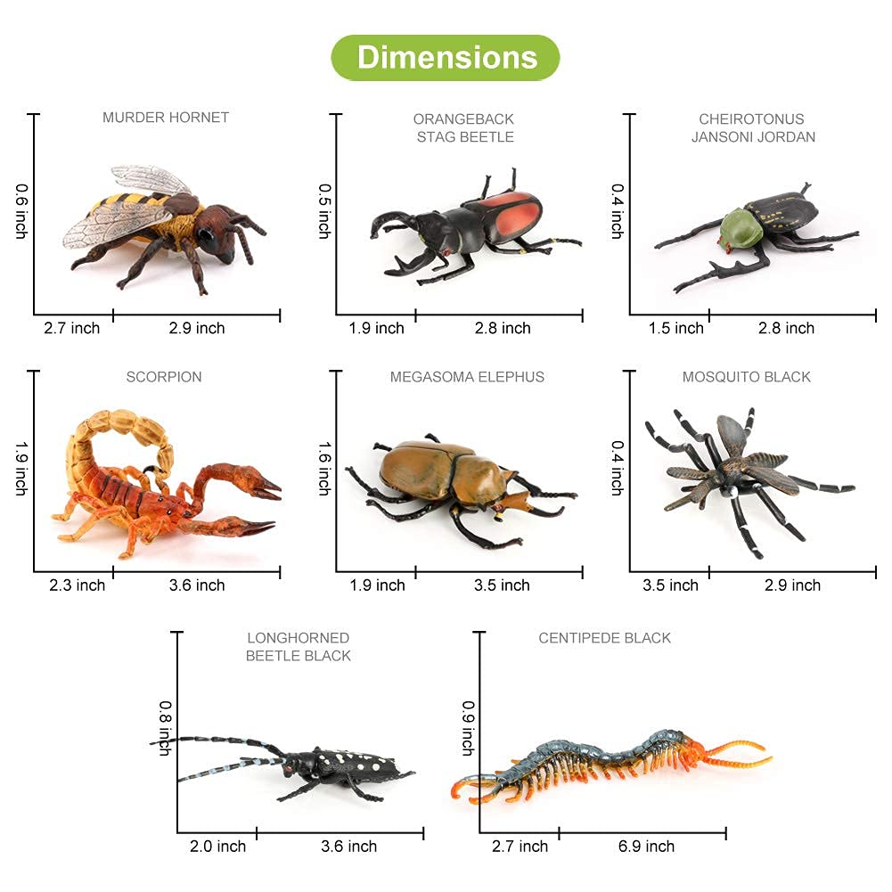 Volnau 13-Piece Insect Figurine Set for Kids – Safe, Realistic Bug Toys