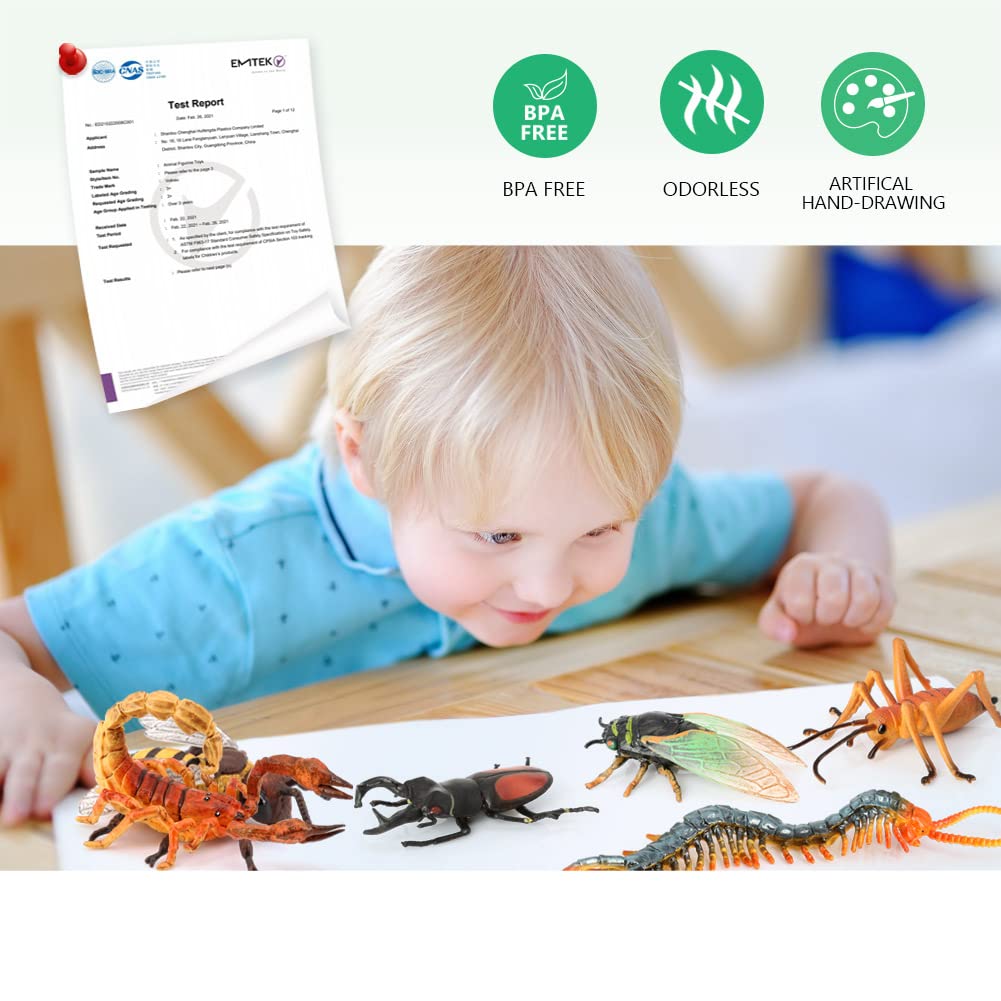 Volnau 13-Piece Insect Figurine Set for Kids – Safe, Realistic Bug Toys