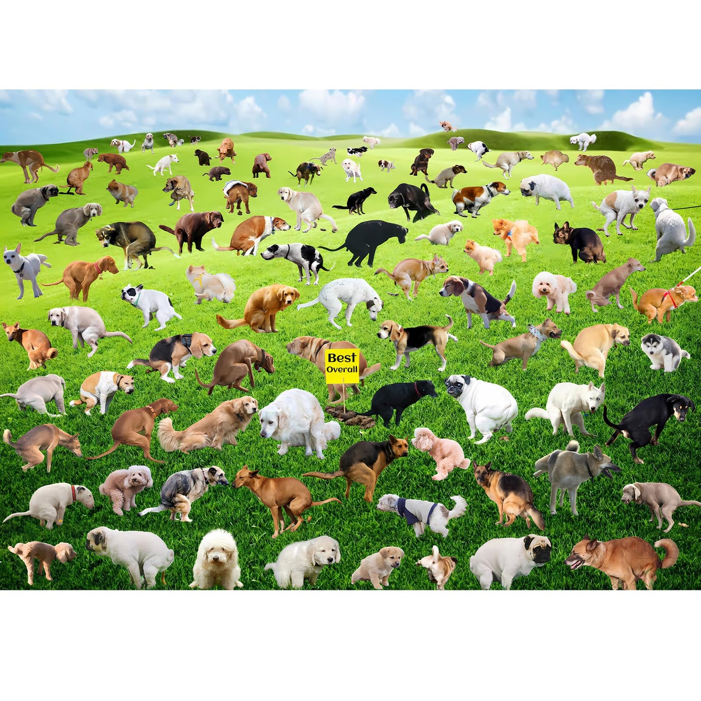 VOLUVOLU 1000-Piece Puppy Poop Puzzle – Funny Dog Gift for Adults