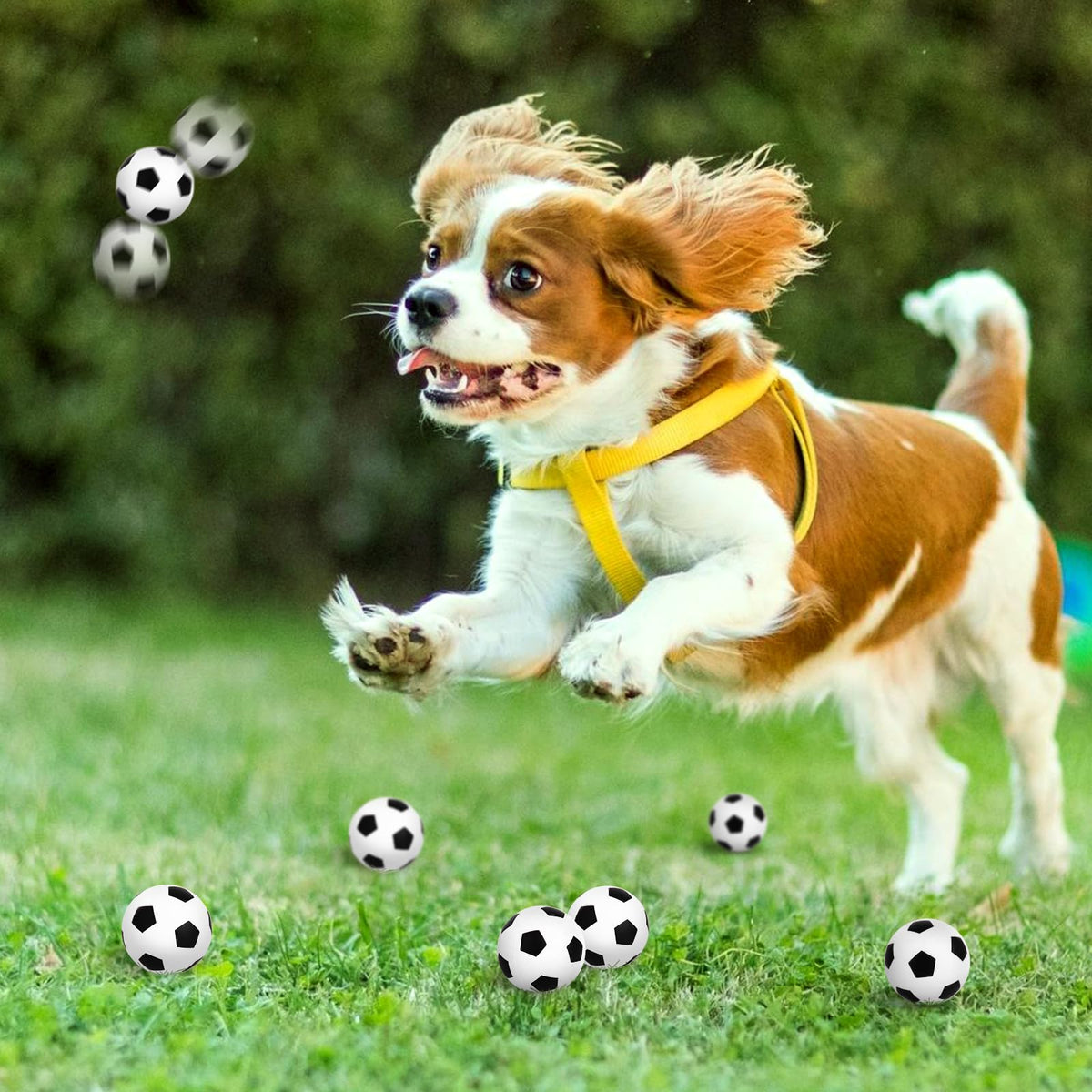 Waenerec Mini Soccer Stress Balls 20-Pack – Foam Squeeze Toys