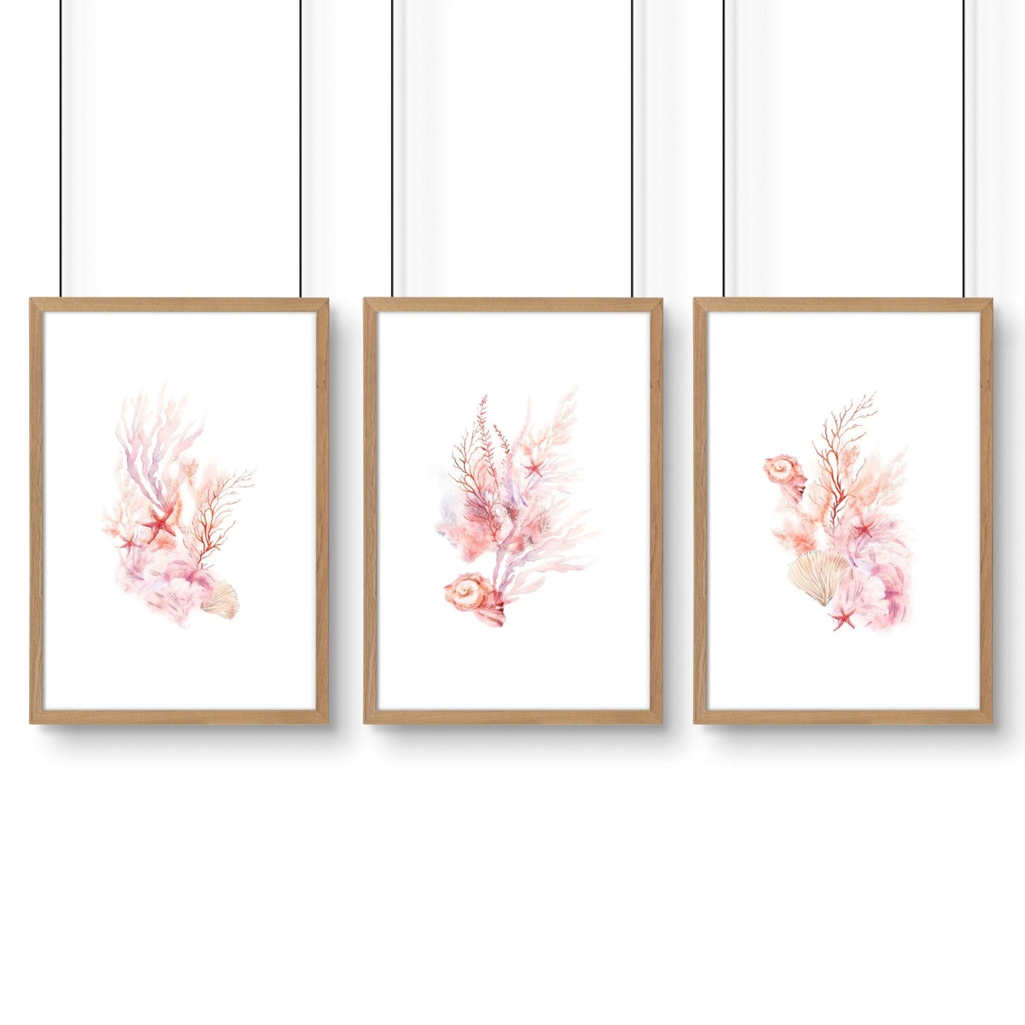 Wall Art Sea | Set of 3 Seashells Wall art Prints