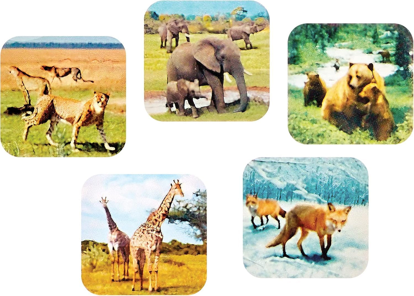 Warm Fuzzy Toys 3D Viewfinder: Zoo Animals Edition — 21 HD 3D Images