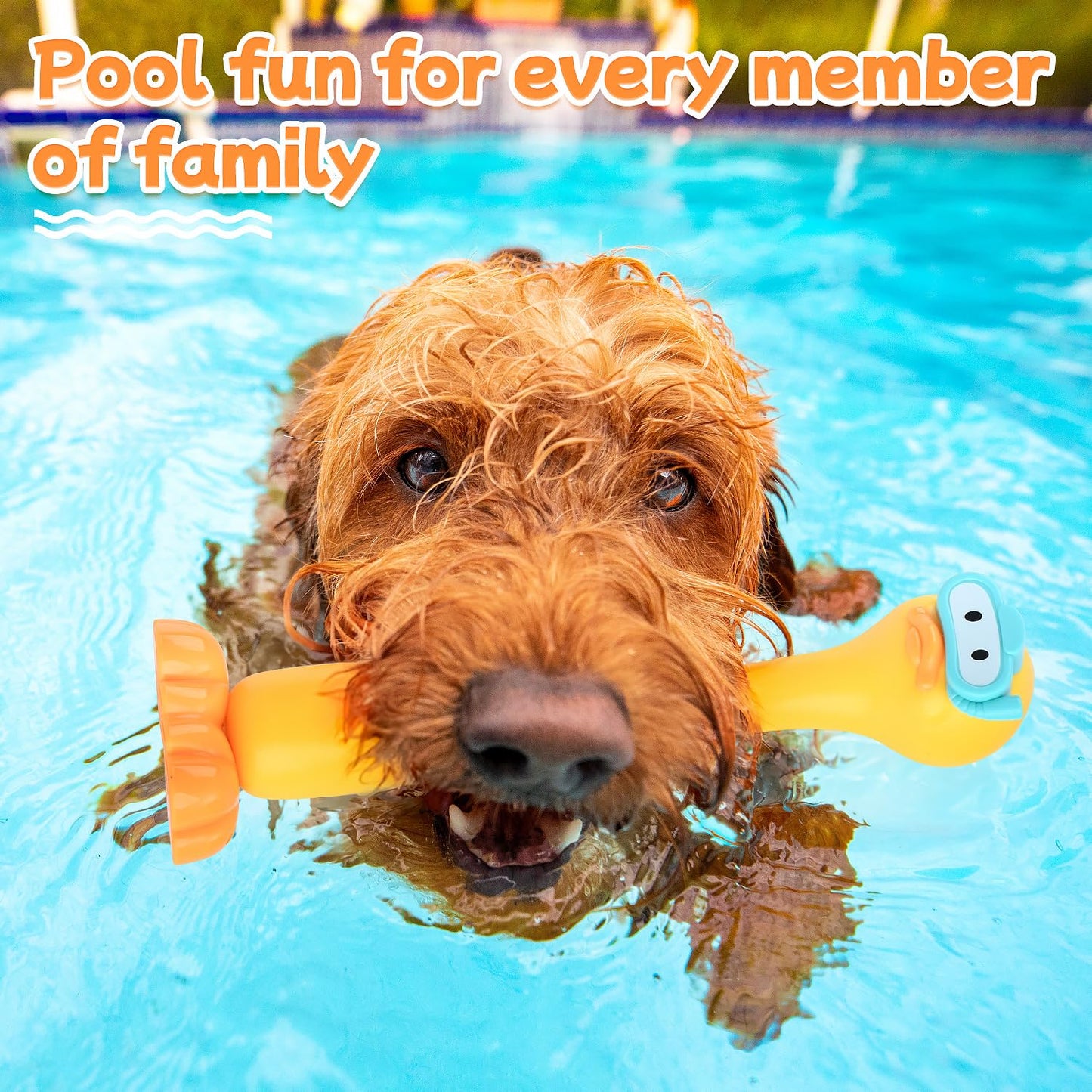 WeeHomm Pool Diving Toys for Kids — 9 Pack (Rings, Sticks & Ducks)