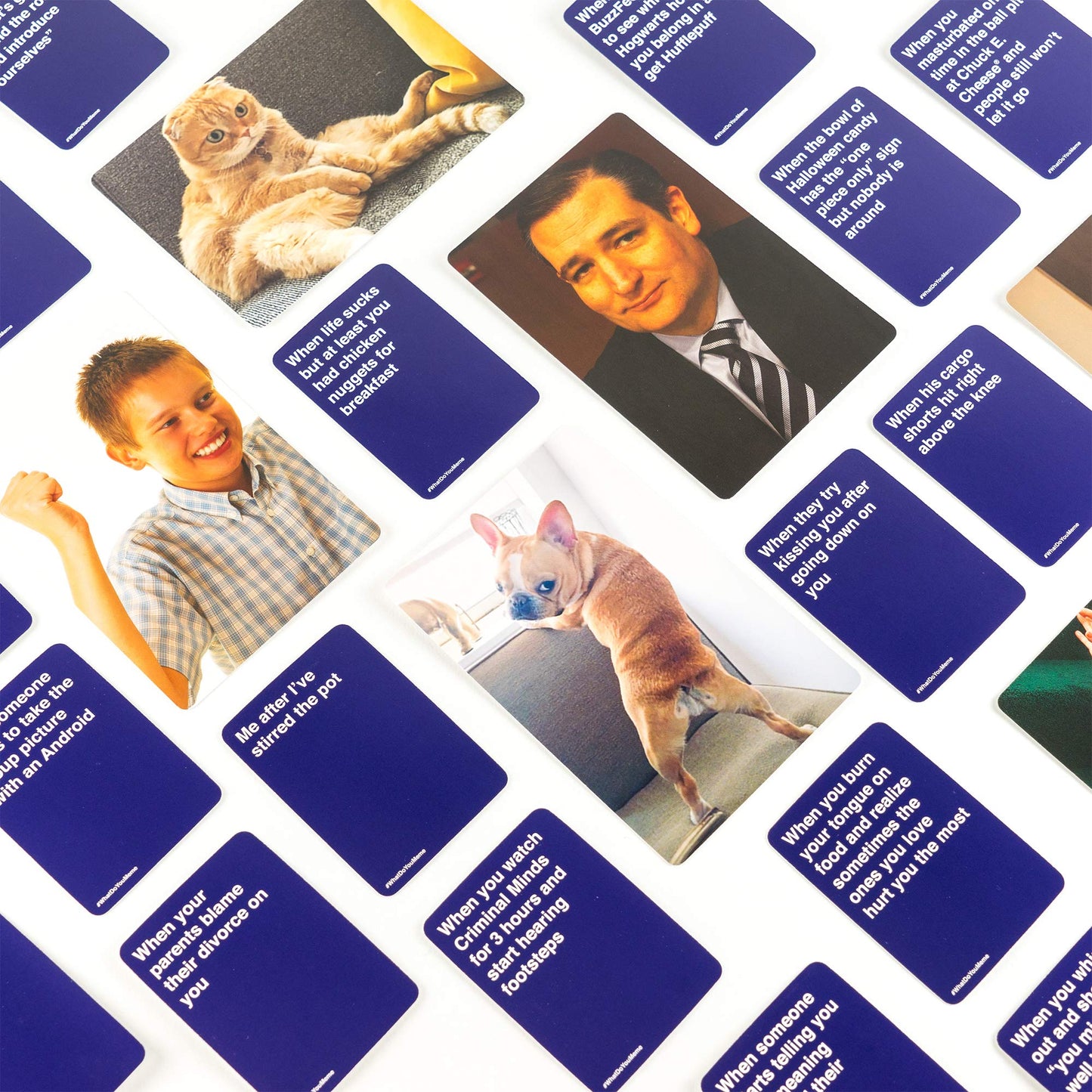 WHAT DO YOU MEME? Fresh Memes Pt. 1 Expansion Pack — Add-On for Core Game