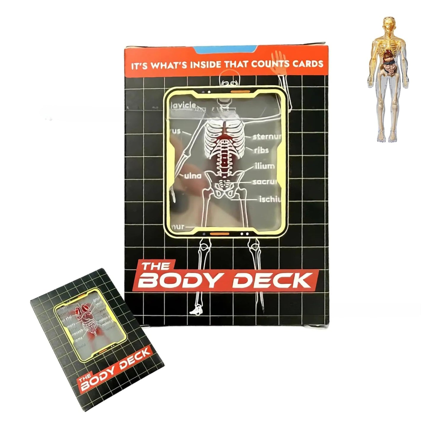WIizyzfhy The Body Deck: 3D Anatomy Playing Cards, Waterproof Transparent Skeleton Cards (54 pcs)