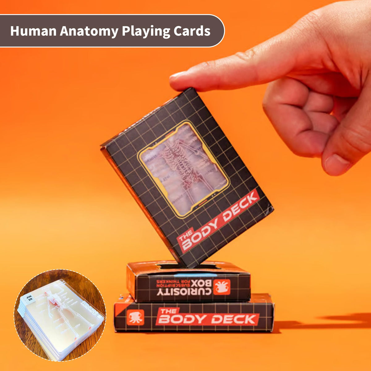 WIizyzfhy The Body Deck: 3D Anatomy Playing Cards, Waterproof Transparent Skeleton Cards (54 pcs)