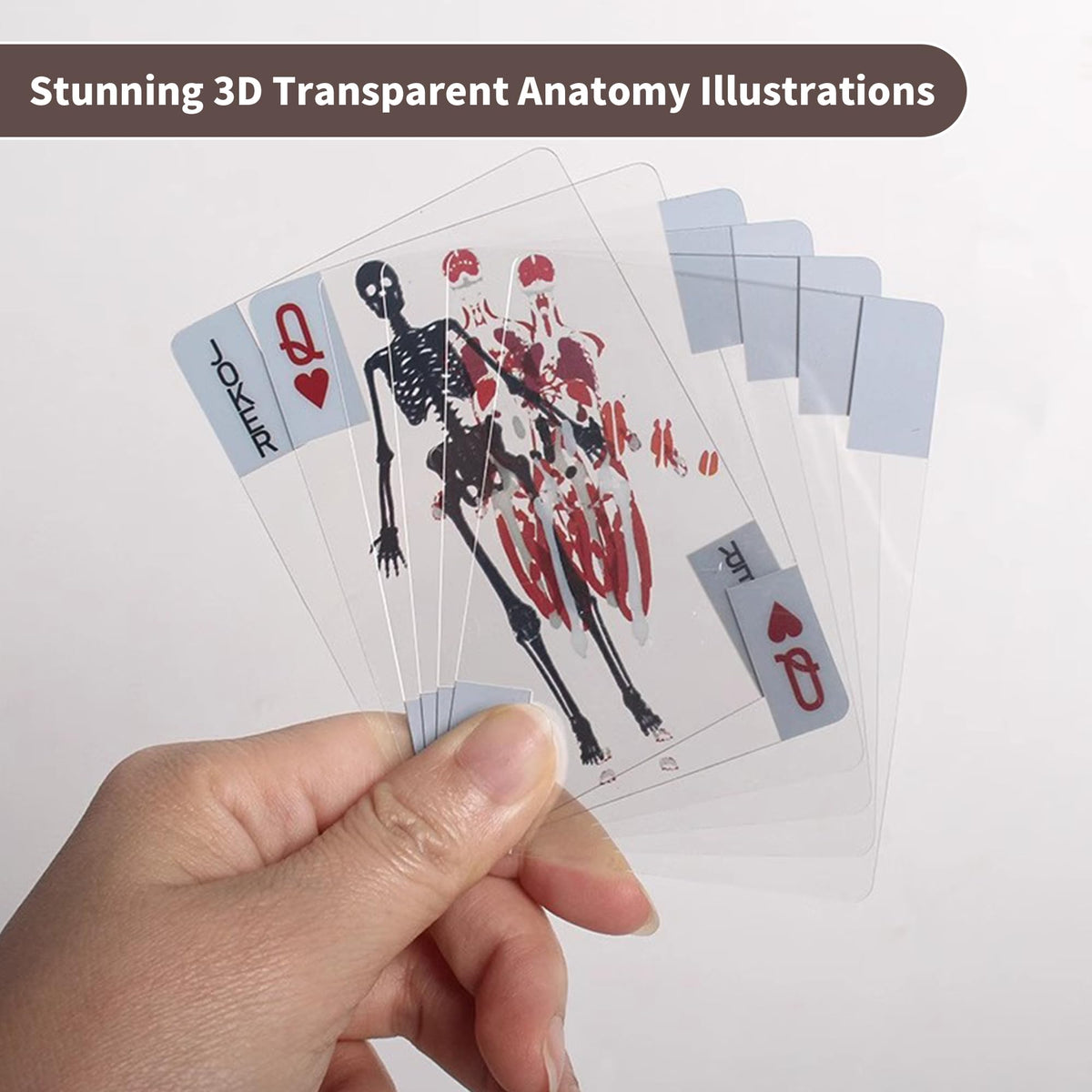 WIizyzfhy The Body Deck: 3D Anatomy Playing Cards, Waterproof Transparent Skeleton Cards (54 pcs)