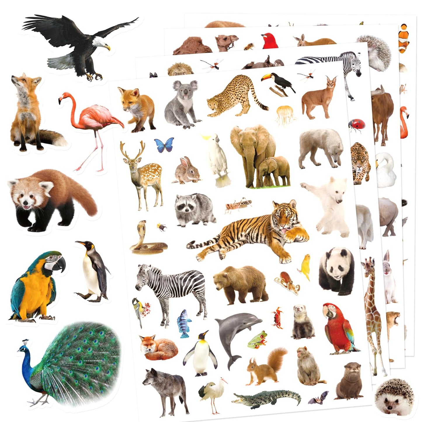 Wild Animals Stickers 750 Count – Safari Jungle Wildlife Sticker Set for Scrapbooks & Decor