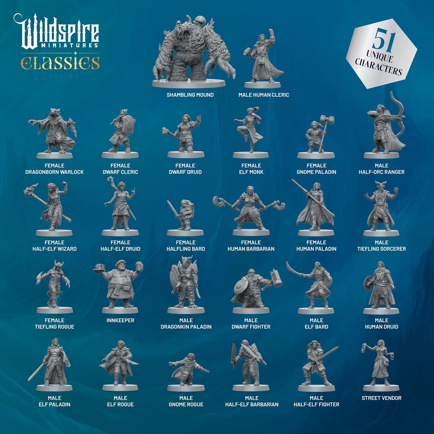 Wildspire Classic Heroes – Mercenary Guild | 51 Paintable 28mm DND Minis for D&D, Pathfinder & Fantasy RPGs