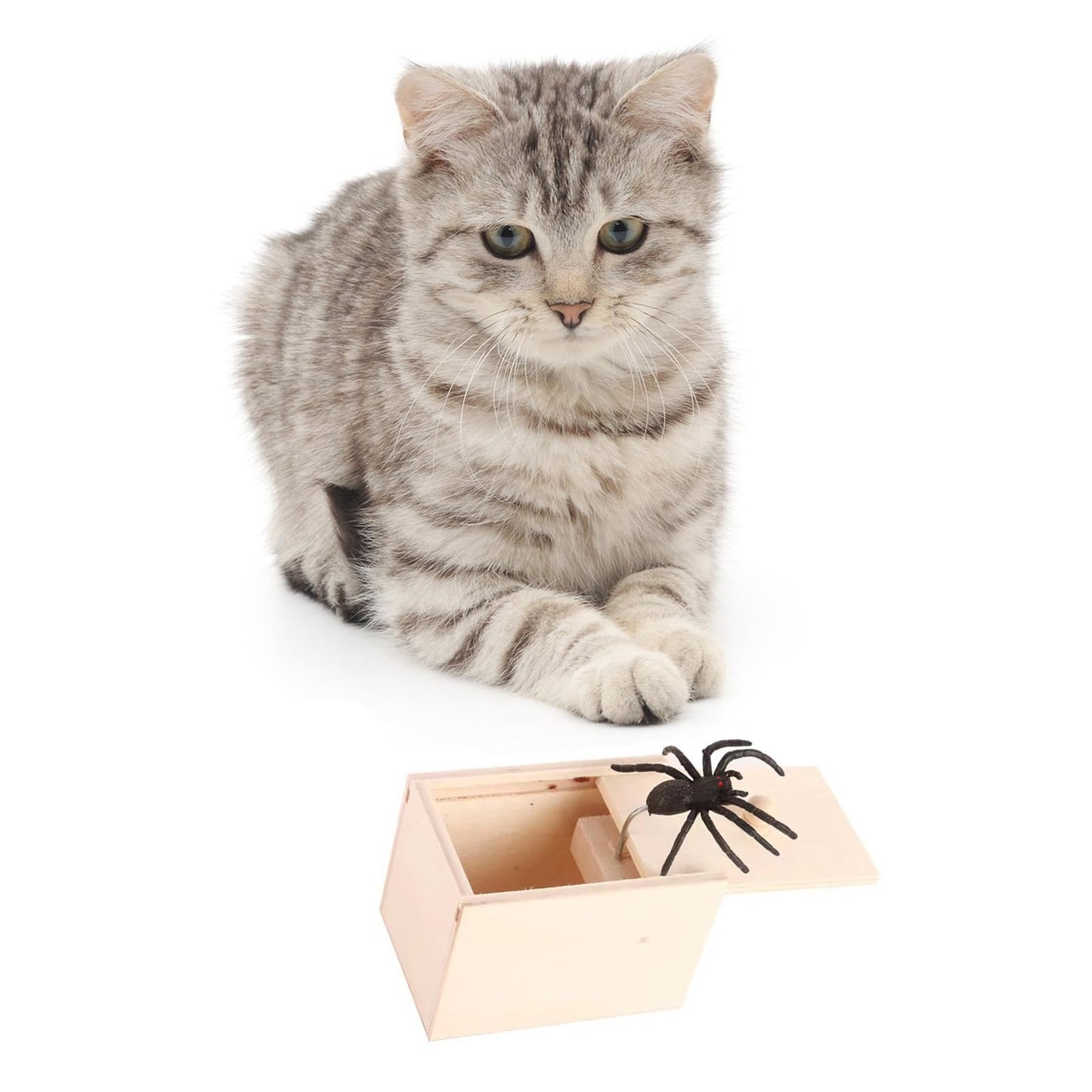 Winbar Rubber Spider Trick Box – Handmade Wooden Prank Box for Surprises