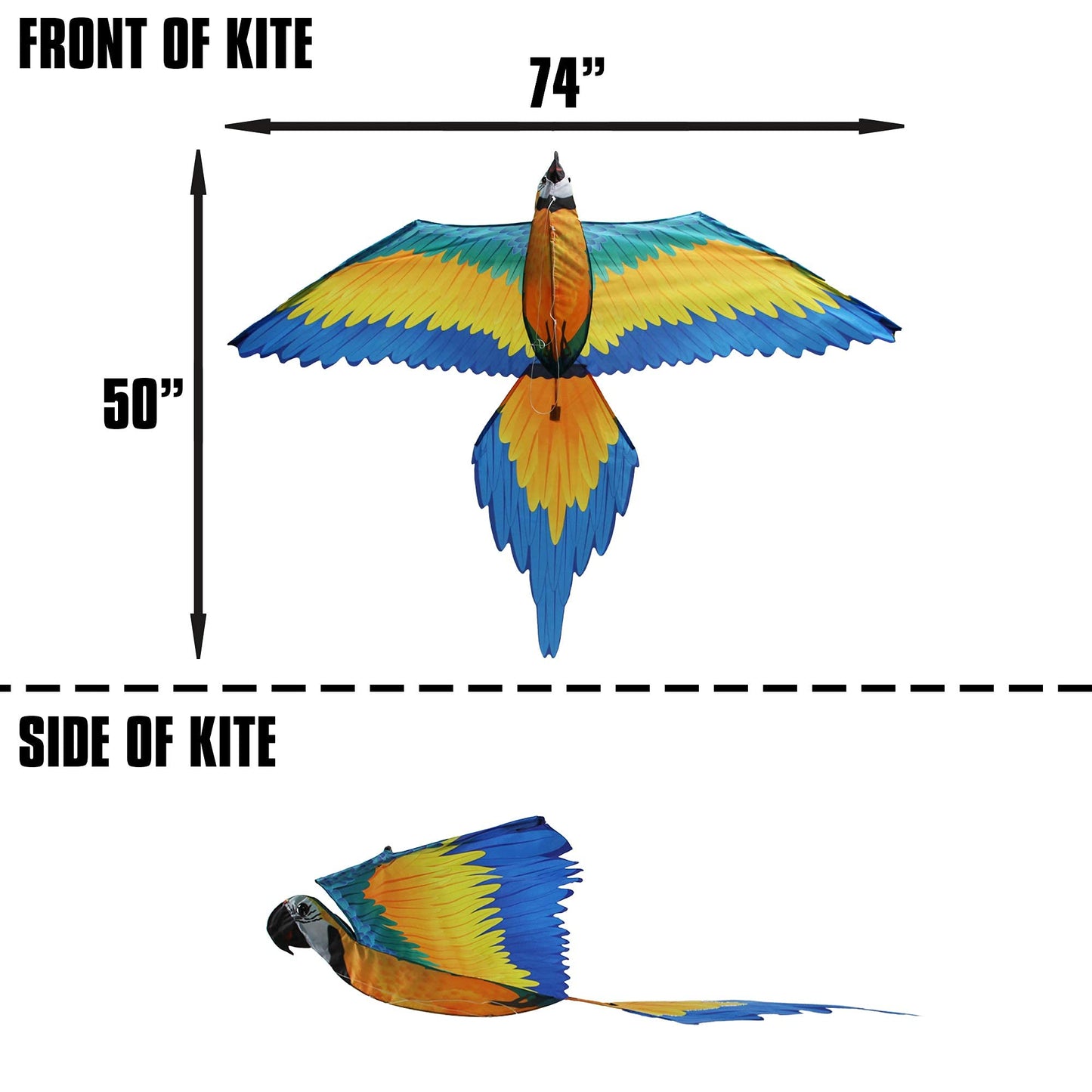 WindNSun Super Size 3D Blue Macaw Kite – 74-Inch Wingspan Nylon Parrot