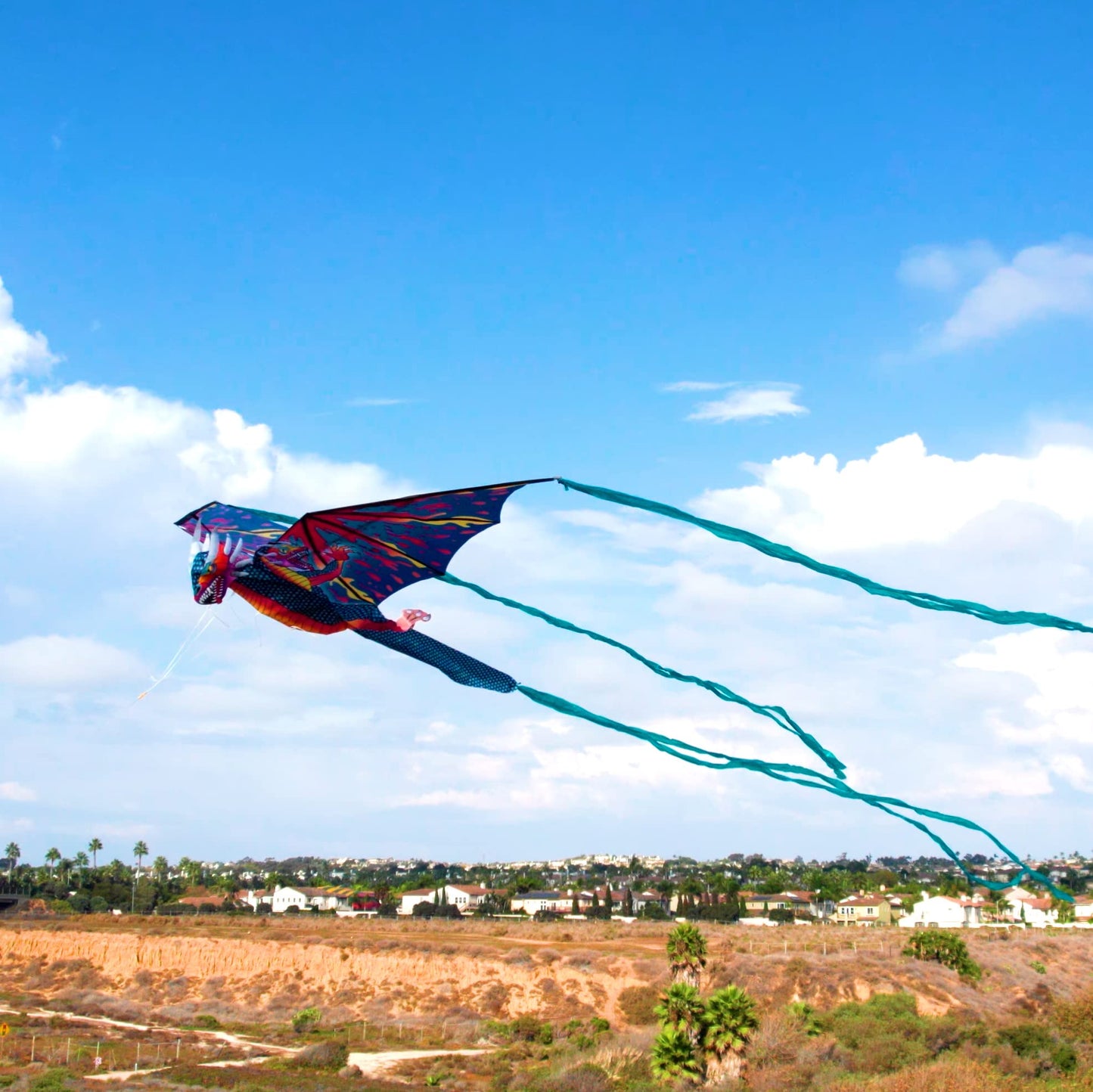WindNSun Supersized Three-Headed Dragon 3D Kite — 76in Wingspan, Fiberglass Frame, Vibrant Colors