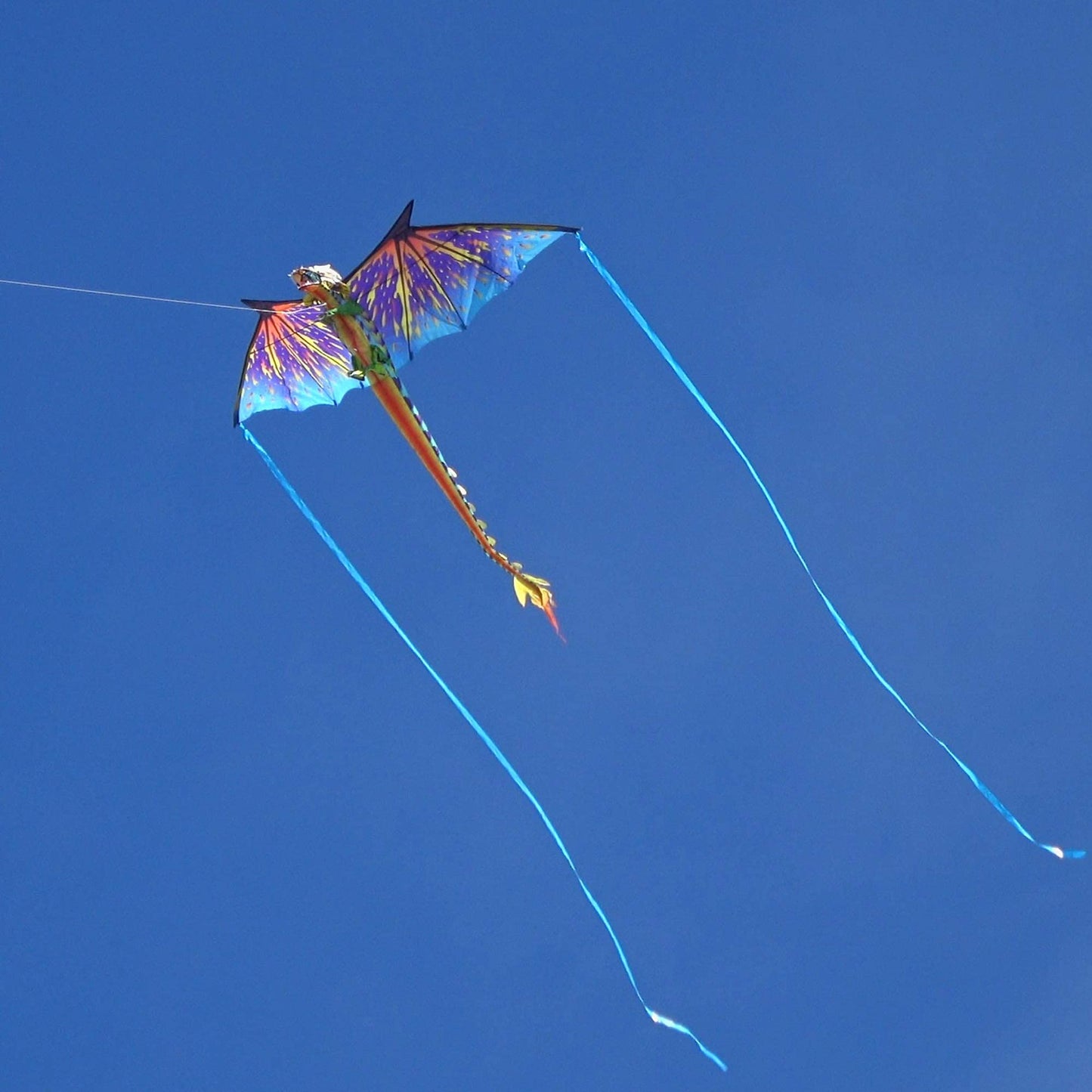 WindNSun Super Size 3D Nylon Kite - Blue Dragon, 76 Inches Wide