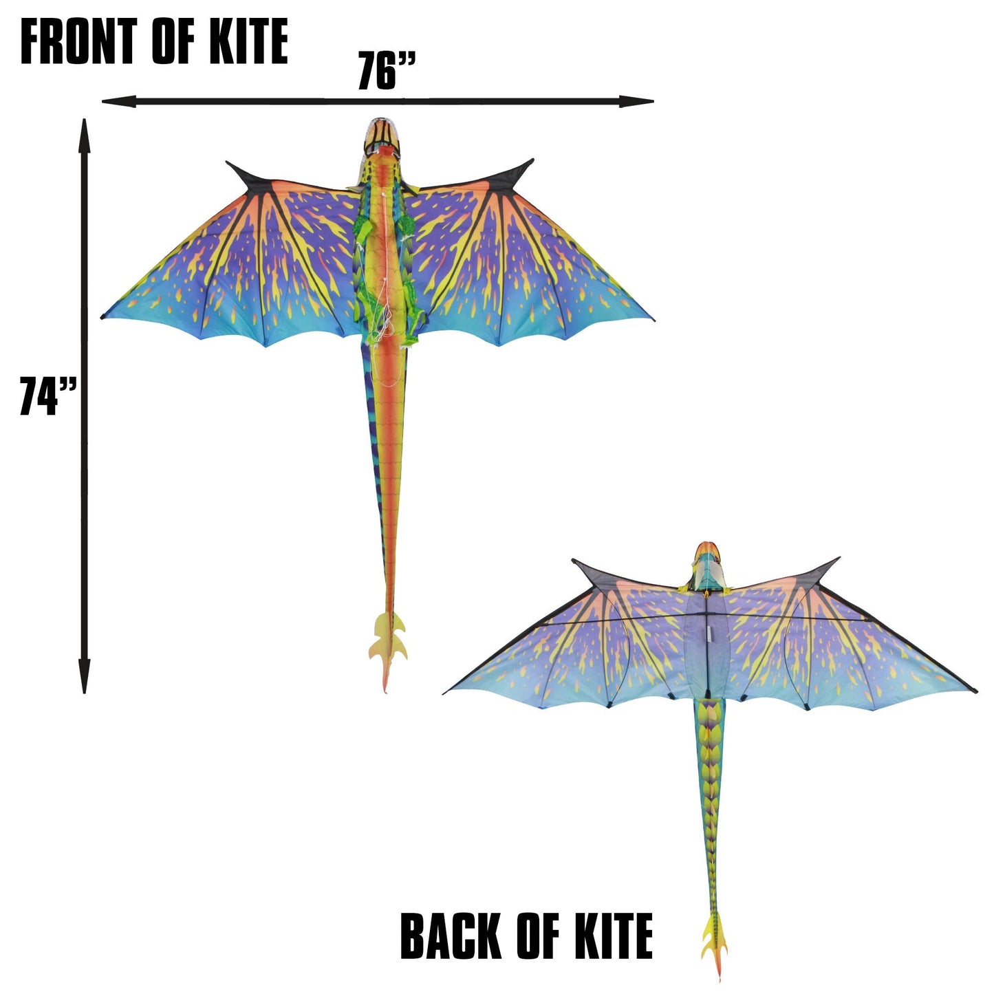 WindNSun Super Size 3D Nylon Kite - Blue Dragon, 76 Inches Wide