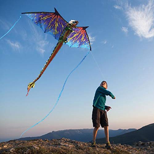 WindNSun Super Size 3D Nylon Kite - Blue Dragon, 76 Inches Wide