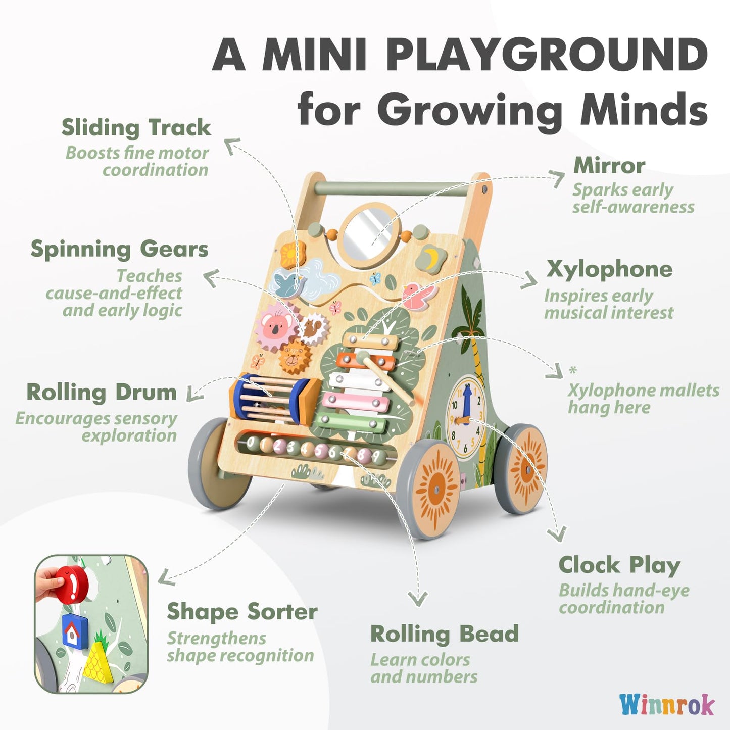 Winnrok Wooden Baby Walker – Adjustable Height, Quiet Wheels, Montessori Sit-to-Stand
