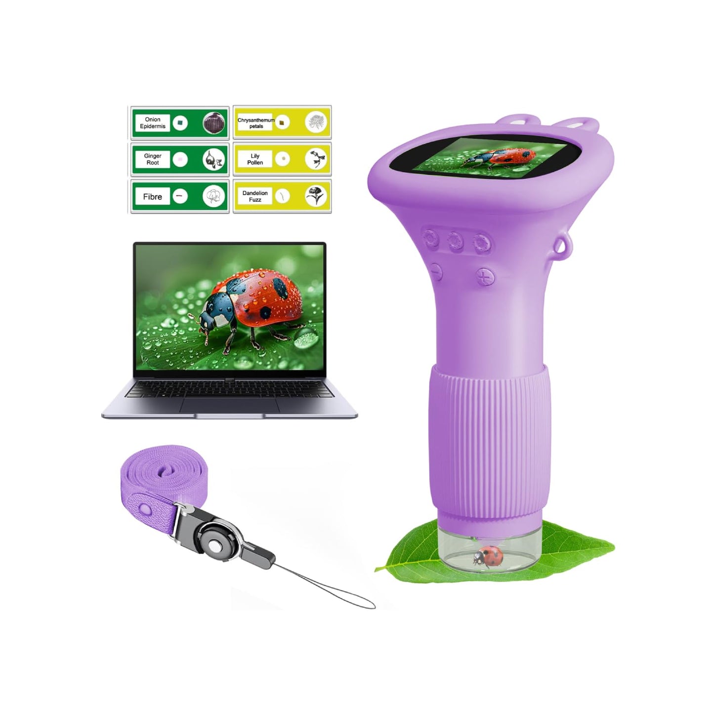 WINWEND Kids Microscope Pocket 1000x – Portable Digital Microscope for Ages 3-10