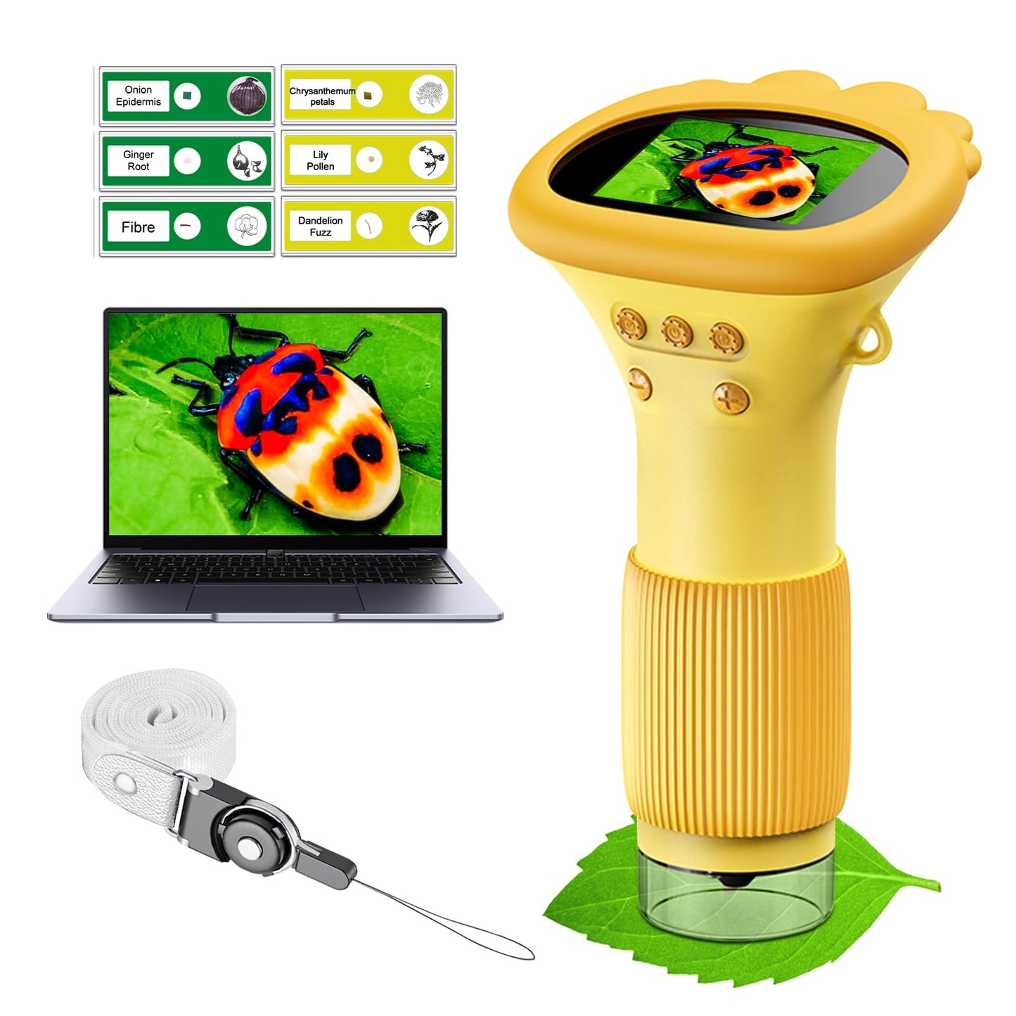 WINWEND Kids Pocket Microscope 1000X – Portable Digital Mini Microscope for Ages 3-10 | 400-Photo Built-In Storage