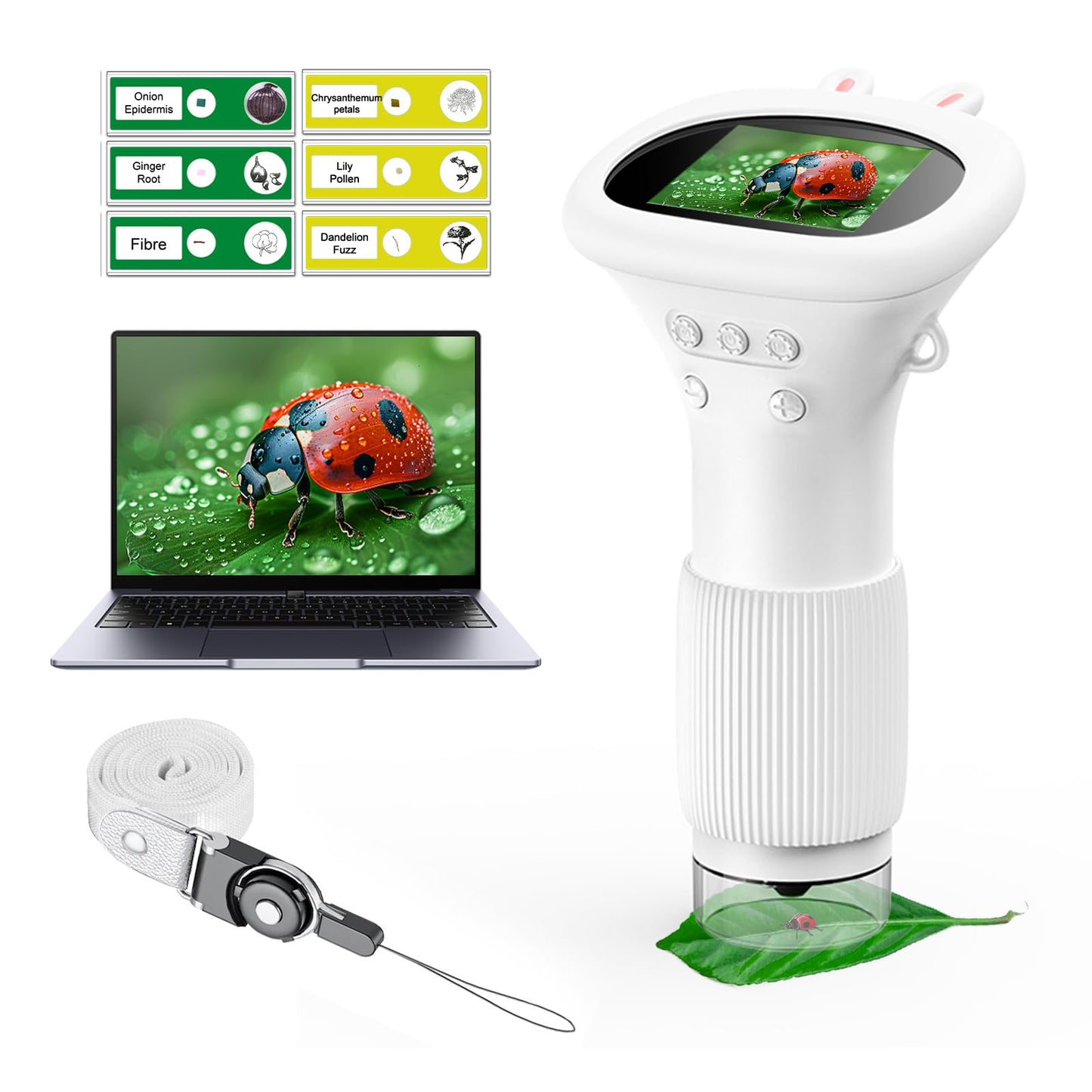 WINWEND Kids Microscope — Portable Handheld Digital Microscope 100x-1000x, 8 LED Lights, 400-Photo Storage