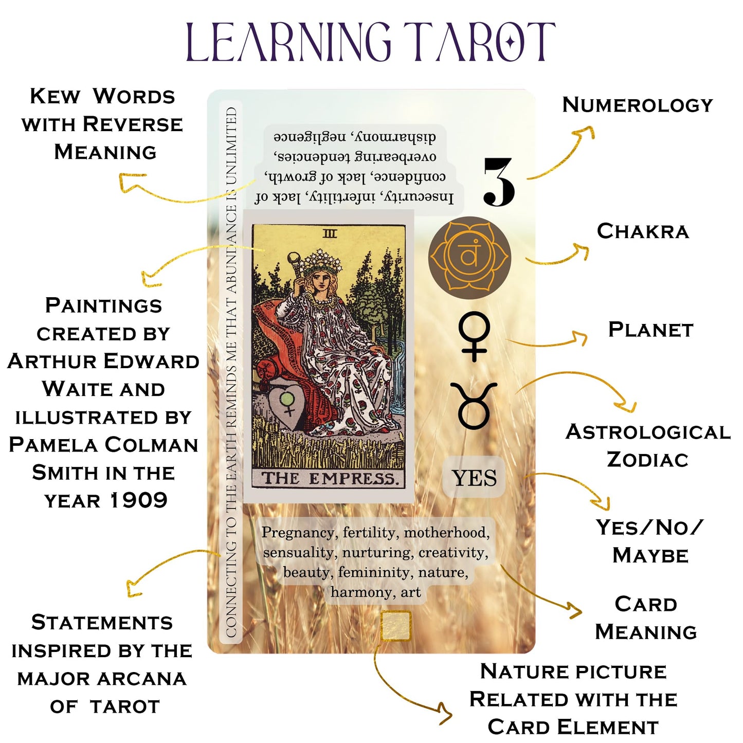 Witchy Cauldron Tarot Cards for Beginners — 78-Card Deck & Guidebook