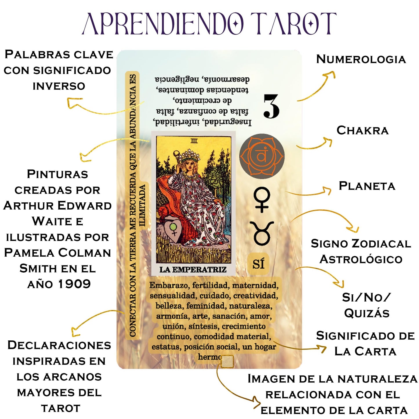 Witchy Cauldron Spanish Tarot for Beginners — Cards with Meanings, Chakras, Zodiac, Planets & Yes/No