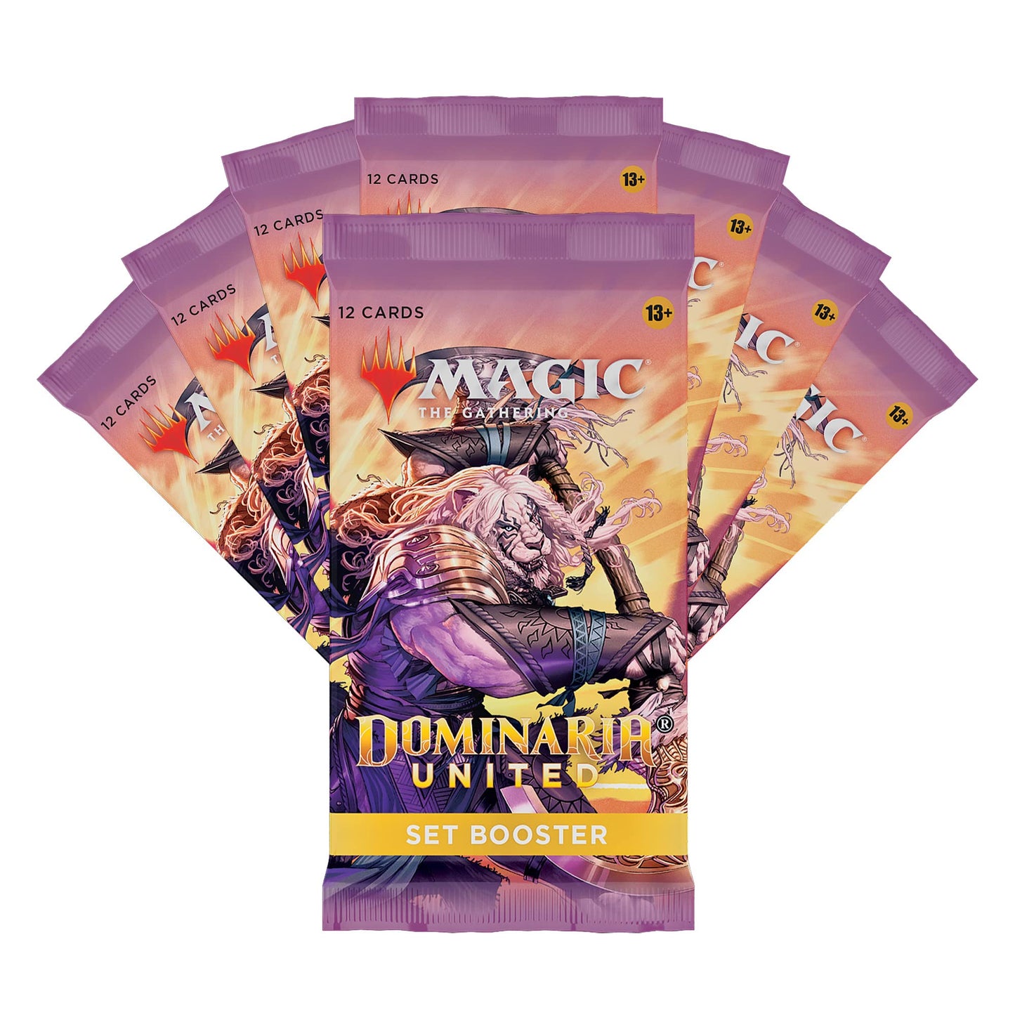 Dominaria United Bundle | 8 Set Boosters + Exclusive Accessories | Wizards of the Coast MTG