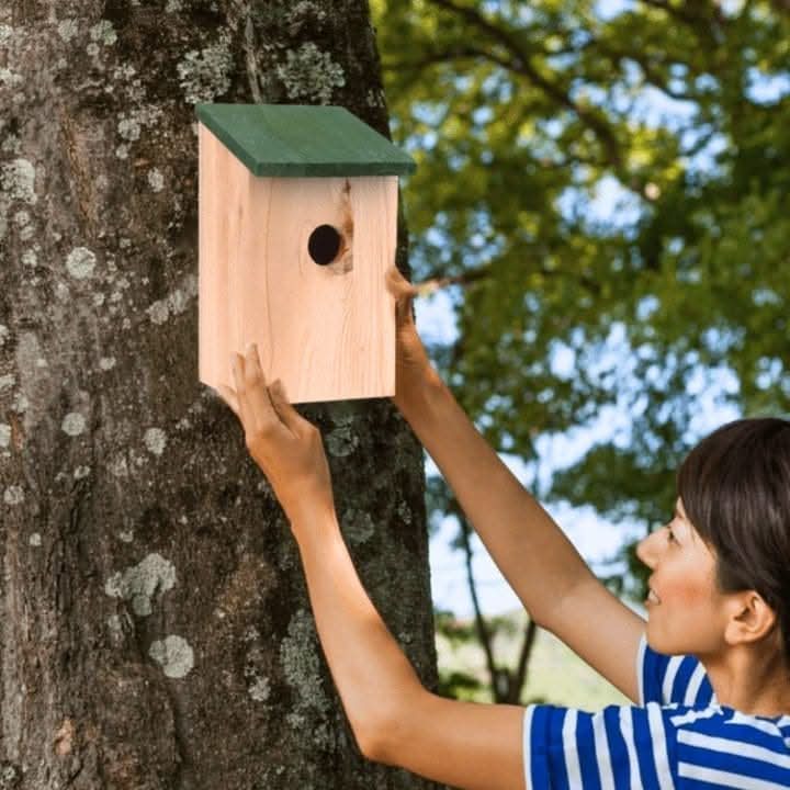2 Pack Wooden Bird Nesting Boxes for Small Garden Birds