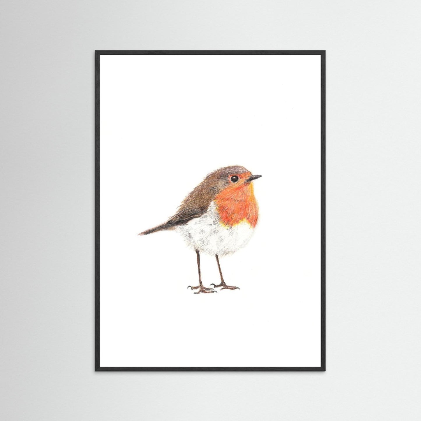 Robin Woodland Art Print