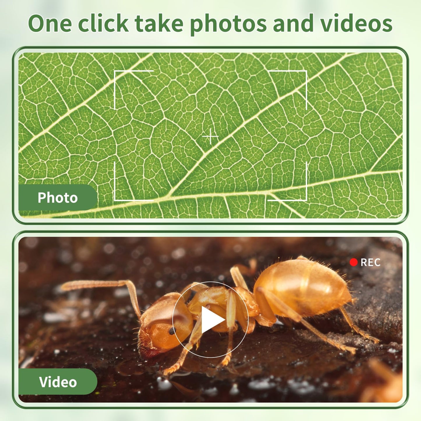 WSDMIC 1200X Handheld Microscope for Kids – 2.0-Inch Screen, Rechargeable STEM Toy