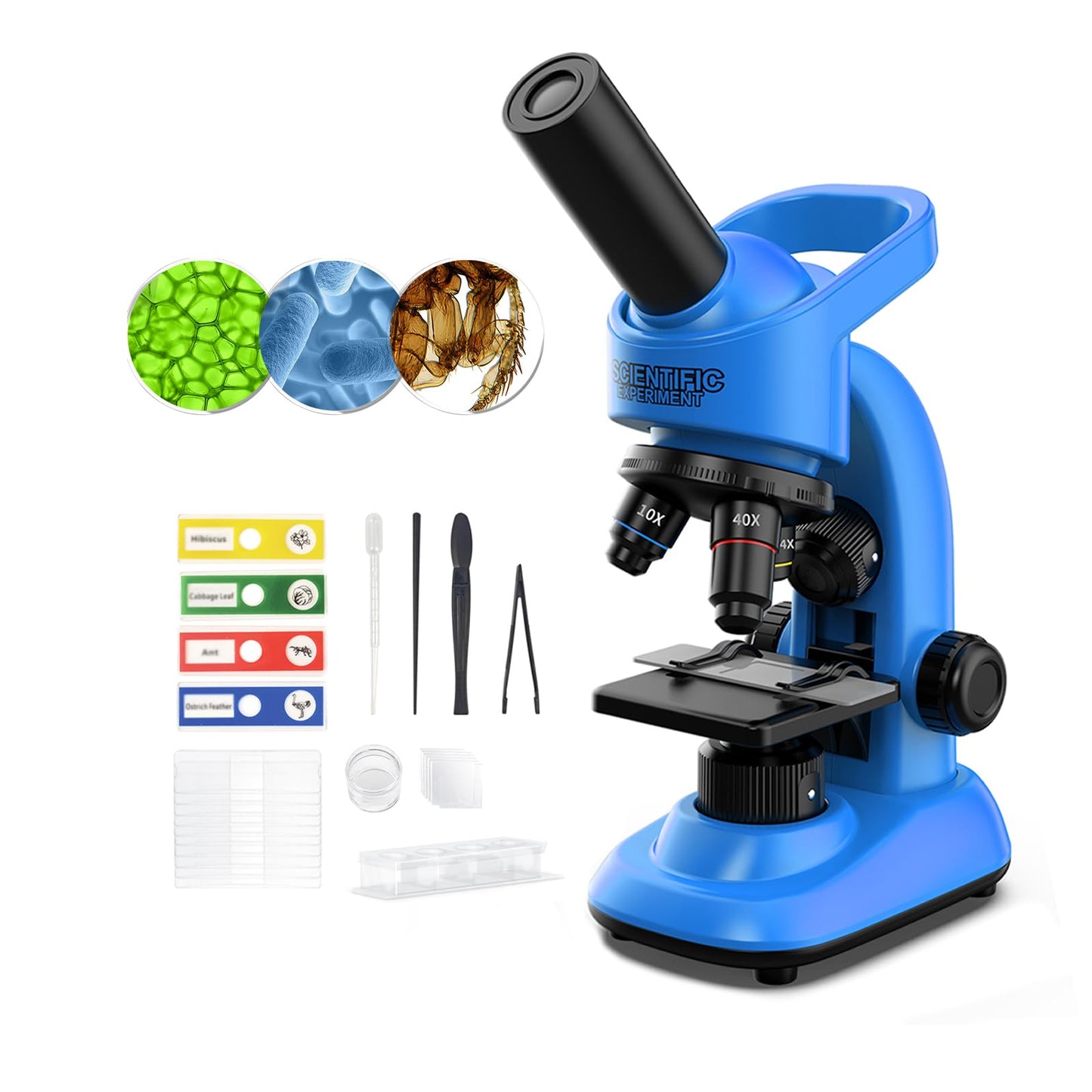 WSDMIC Kid Microscope 40x-1600x Magnification STEM Kit with Slides & Tools | Blue