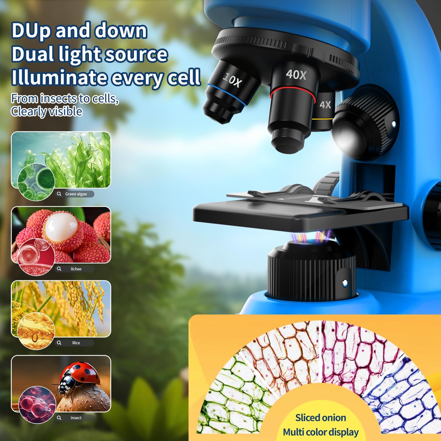 WSDMIC Kid Microscope 40x-1600x Magnification STEM Kit with Slides & Tools | Blue