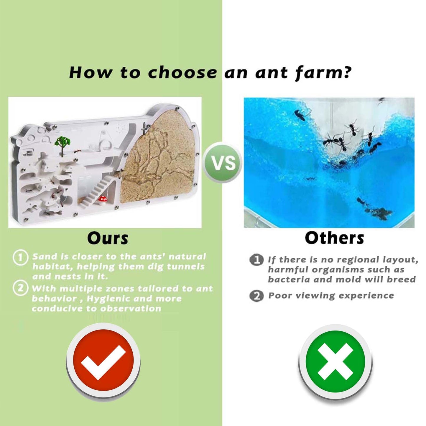 Ant Farm Castle – Large Viewing Area Kit for Live Ants | Educational Observation Habitat by wtsyant