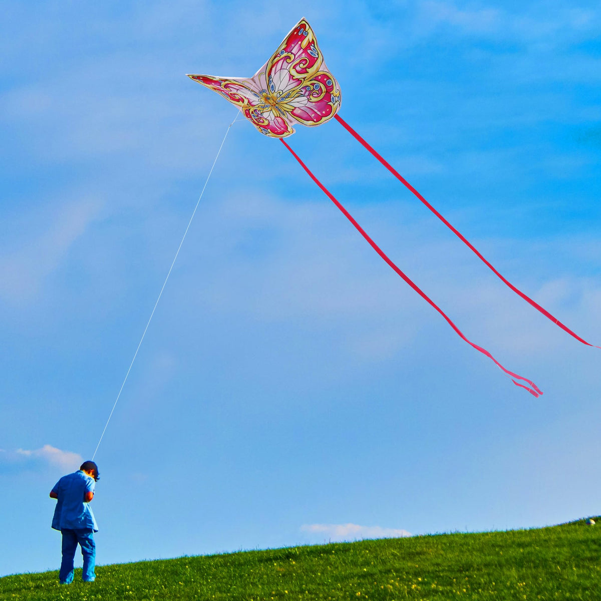 Xida Butterfly Kite — Easy-Fly Single-Line Kite for Kids & Adults with 200 ft String