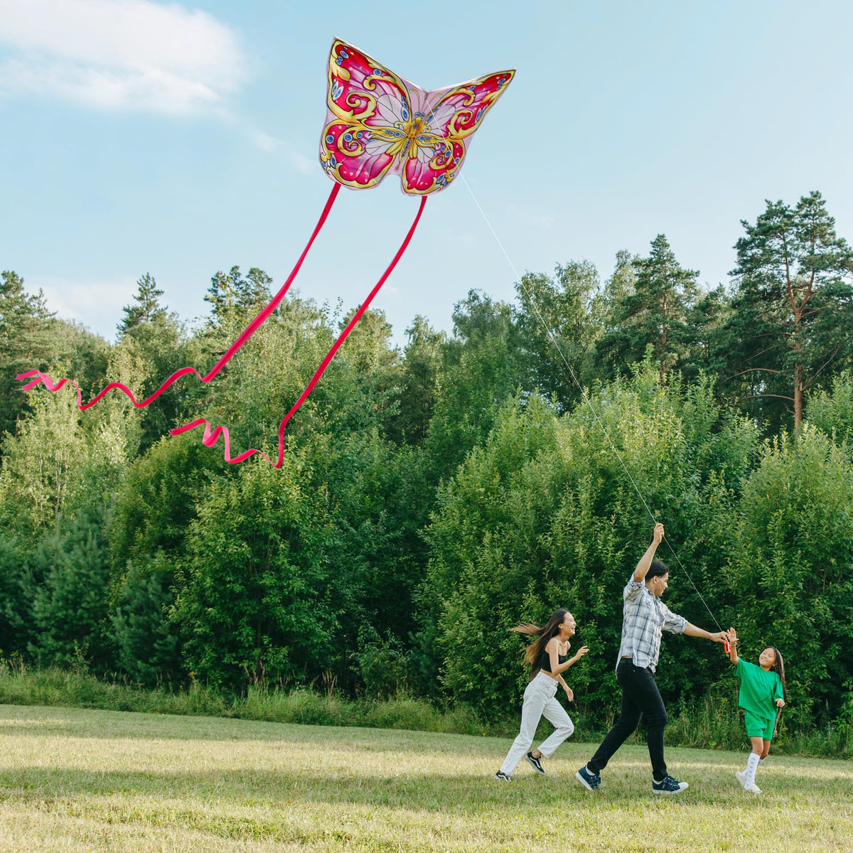Xida Butterfly Kite — Easy-Fly Single-Line Kite for Kids & Adults with 200 ft String