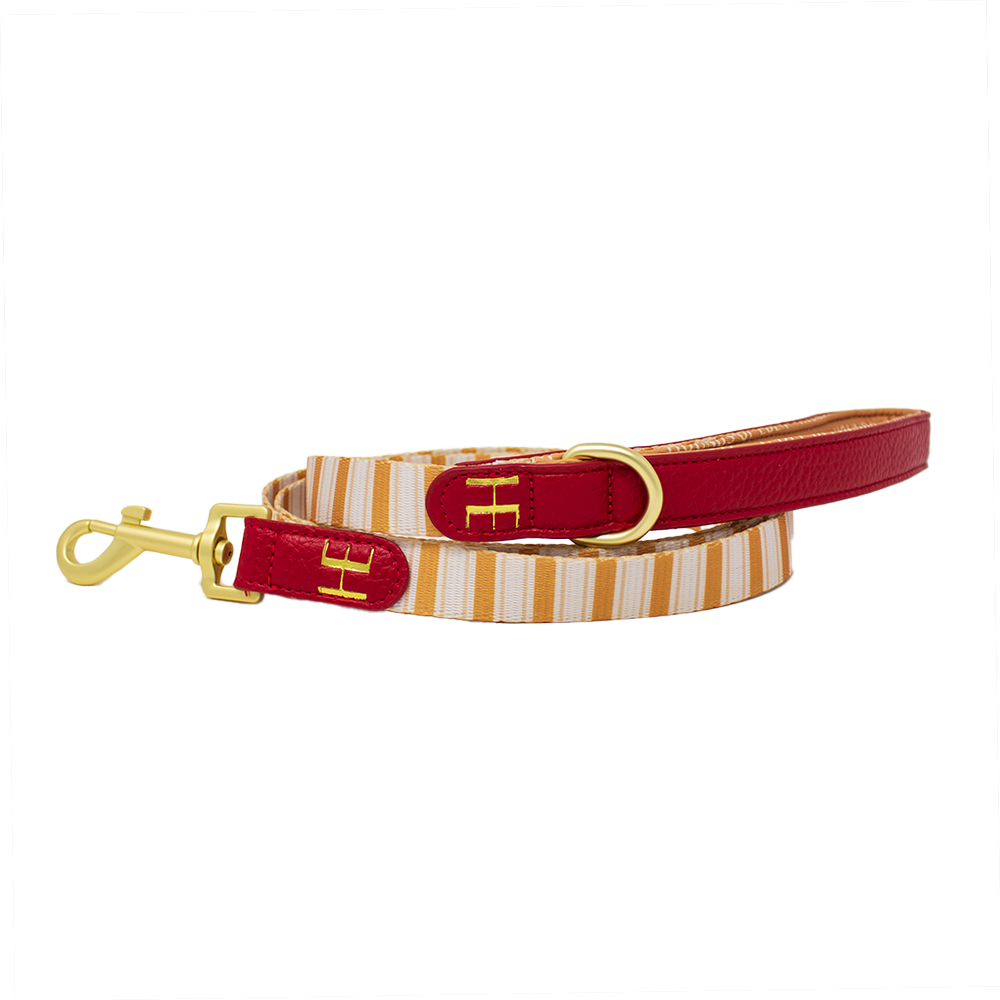 Harrold + Hattie Bears Leather Dog Lead