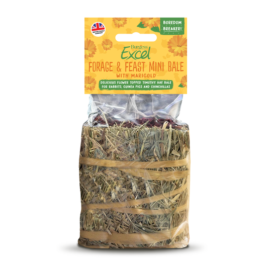 Burgess Forage & Feast Hay Bale with Marigold