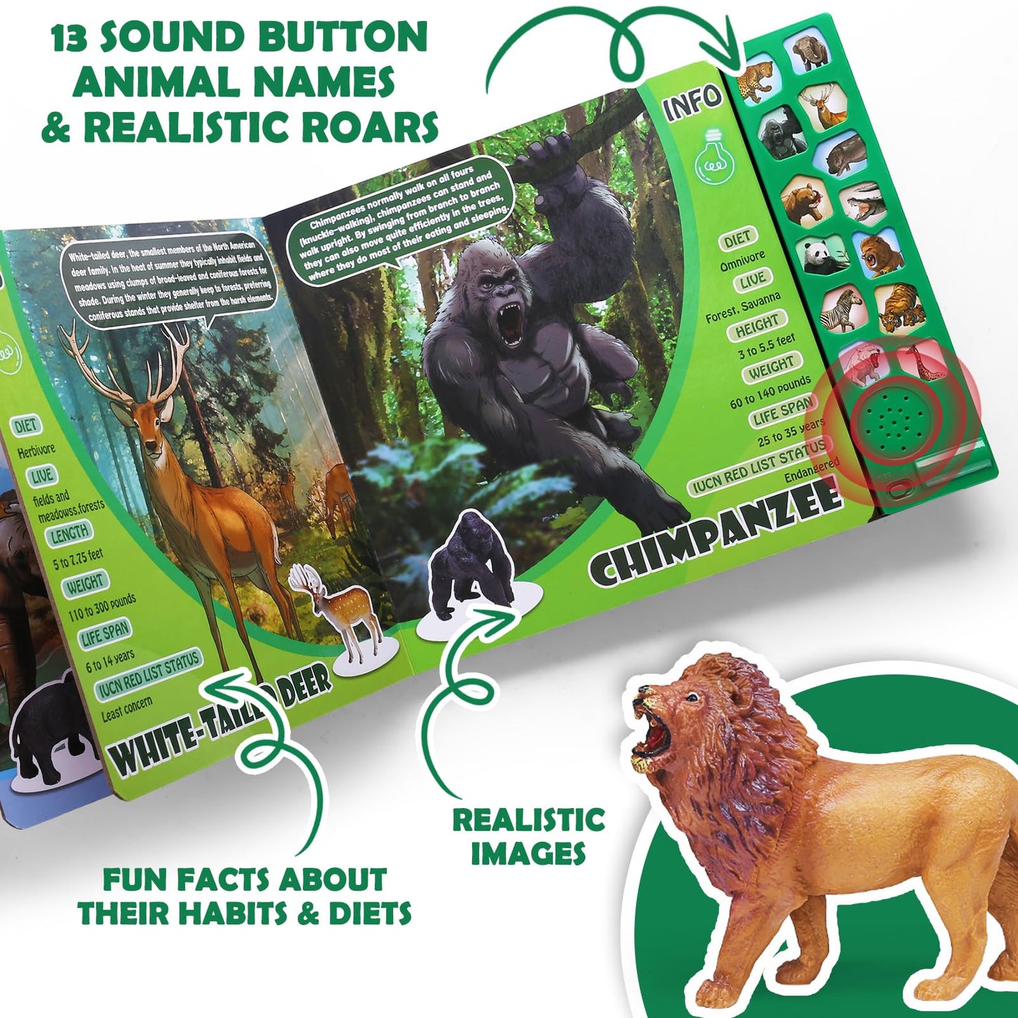 Yeonha Toys: 13 Realistic Safari Animal Figures with Sound Book & Storage Box
