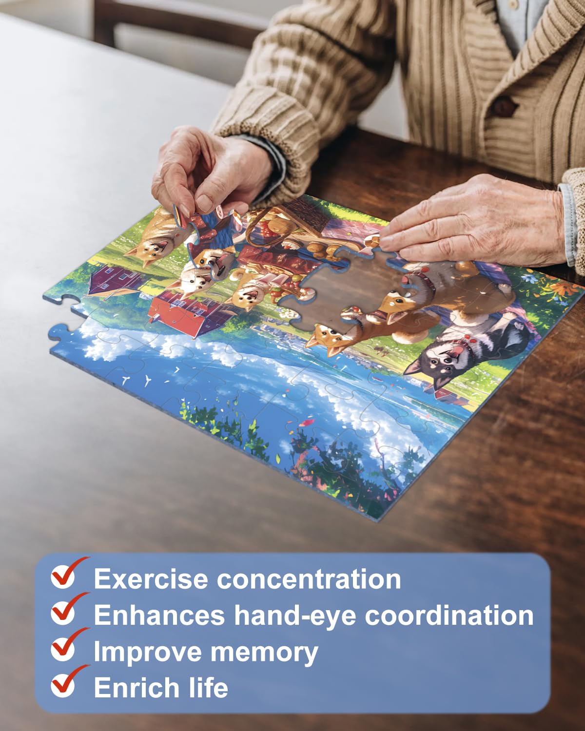 Yigney 6 Pack 36 Large Piece Puzzles for Seniors – Easy Grip Memory Games