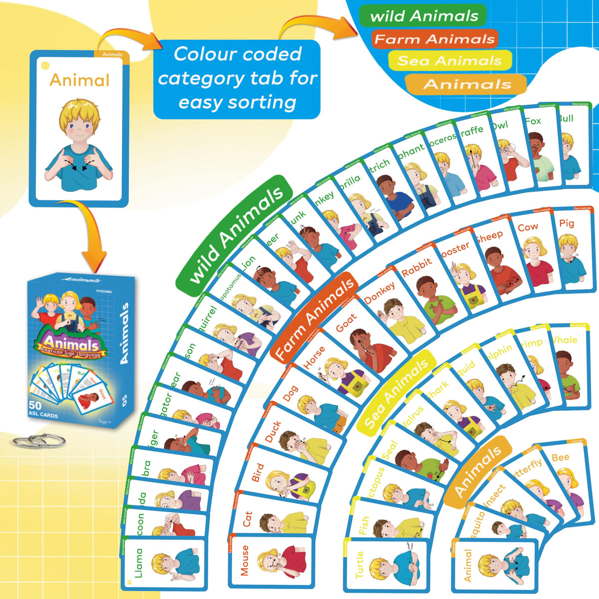 YIYDONG ASL Flash Cards – 500 Beginner Sign Language Cards for All Ages (Verbs, Nouns, Sight Words)