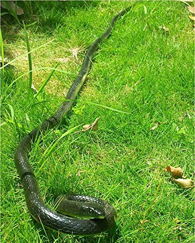 Yoogeer 47-Inch Rubber Lifelike Snake — Realistic Gag Toy for Pranks and Halloween Decor