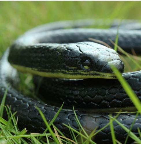 Yoogeer 47-Inch Rubber Lifelike Snake — Realistic Gag Toy for Pranks and Halloween Decor