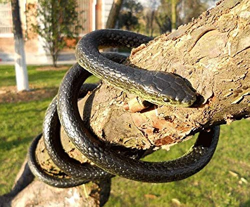 Yoogeer 47-Inch Rubber Lifelike Snake — Realistic Gag Toy for Pranks and Halloween Decor