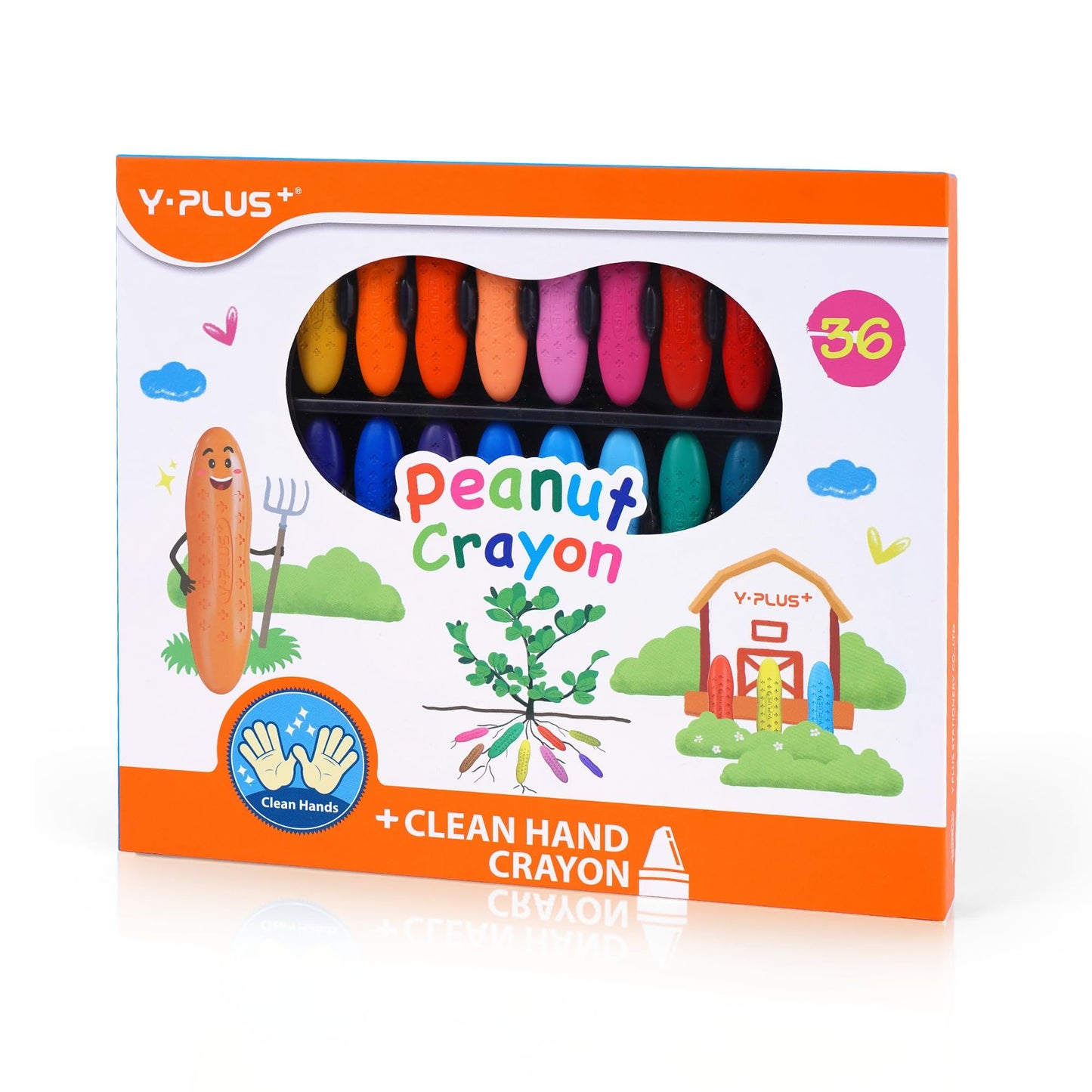 YPLUS Peanut Crayons for Kids — 36 Colors, Non-Toxic, Easy-Grip, Durable Toddler Crayons