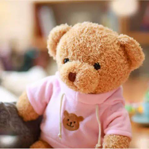 YUKOUQIAN Teddy Bear 15.7in Soft Plush Pink Bear – Cute Stuffed Animal for Kids