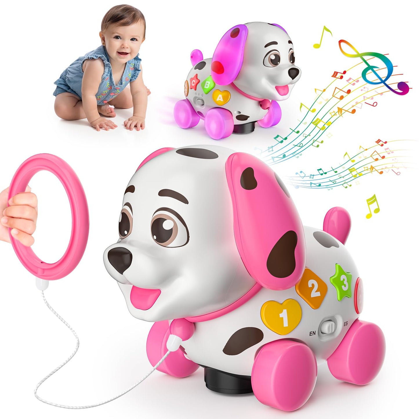 Zardali Musical Baby Toy for 6-12 Months – Bilingual Puppy with ABCs, 123s, and Music